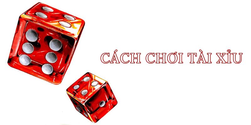 Cách chơi tài xỉu là hiểu rõ các dụng cụ cơ bản