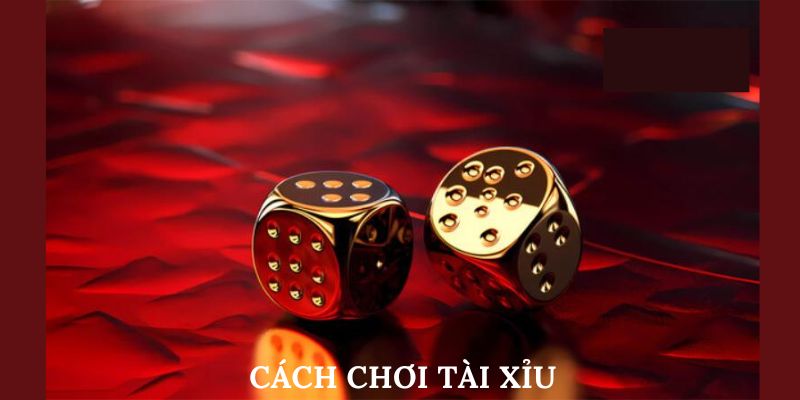 Mẹo chơi sicbo như thế nào để dễ dàng chiến thắng nhất